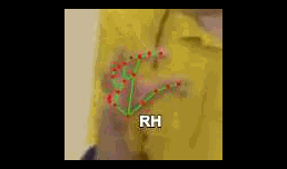 cd29458a2891.gif
