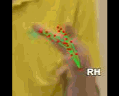 f5ffbedf6c50.gif