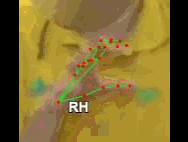 f51109c885f2.gif
