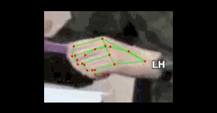 d5e28ec117f5.gif