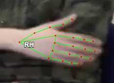 37934ae2dbcf.jpg