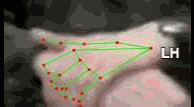 7b13b4ff04bd.gif