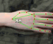 9b5011f5a4ab.gif