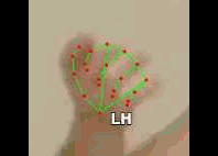 1fe07c34968d.gif