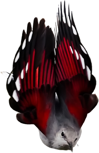 retouch 2026062716525874.png