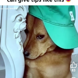 temp.png