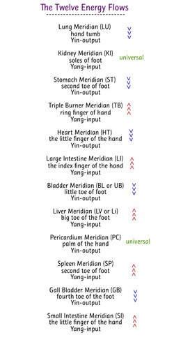 twelve energy flows input output.jpg