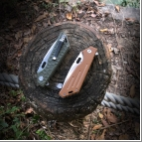 阳江中稳 015 51034.png