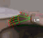 f38dacef3325.gif