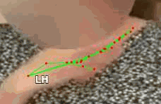 5e70cb0cf481.gif