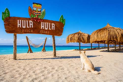 Wycieczka Hula Hula Giftun Odkryj New Paradise - rajski wypoczynek w Egipcie