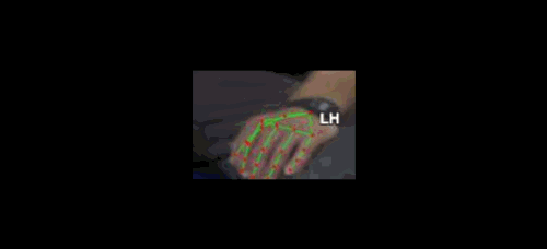 d709d296b341.gif