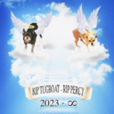 2af53264d40b.png