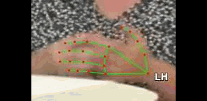 2210c7c44a24.gif