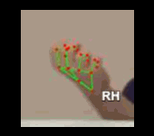 4f2428c33996.gif