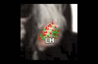 80ea2bd3a6be.gif
