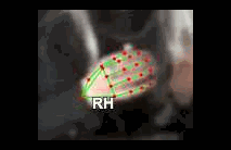 60530d42485a.gif