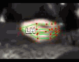 1e18503945a1.gif