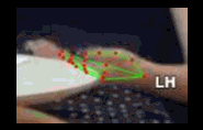 8516b57be80a.gif