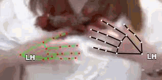 e5b48de03785.gif