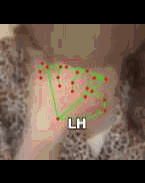 c707e489aa04.gif
