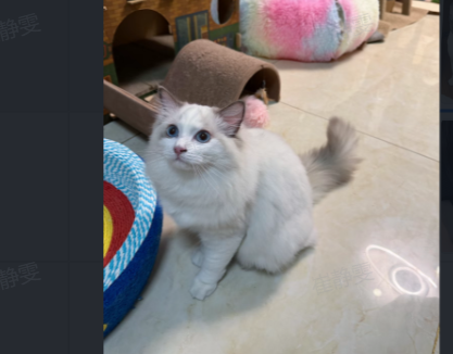 pc e558b659b86e user2 54ec6db9.png