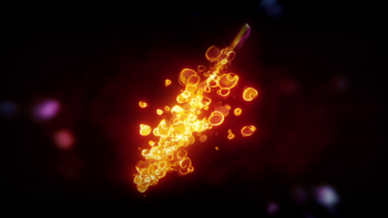 resized 3.png
