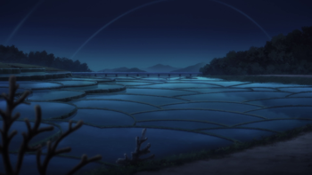 resized 7.png