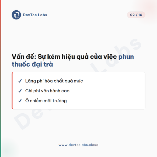 slide 2.png