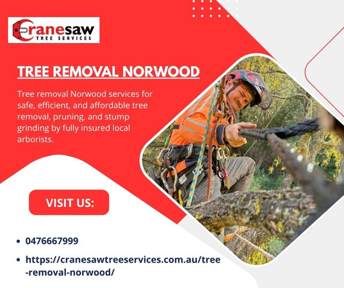 Tree Removal Norwood.jpg