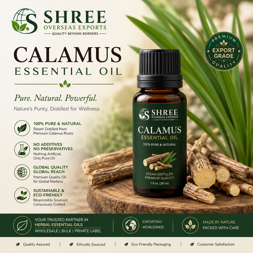 Calamus Essential Oil Wholesale Exporter Your Trusted Partner for Premium Quality Bulk Supply.png