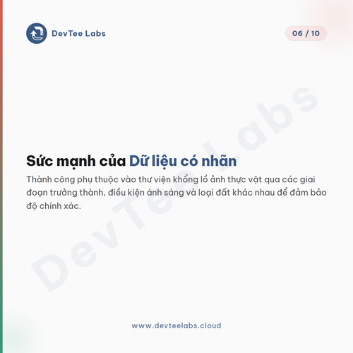 slide 6.png