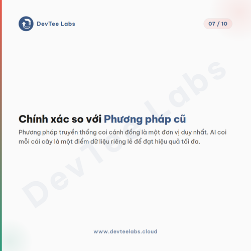 slide 7.png