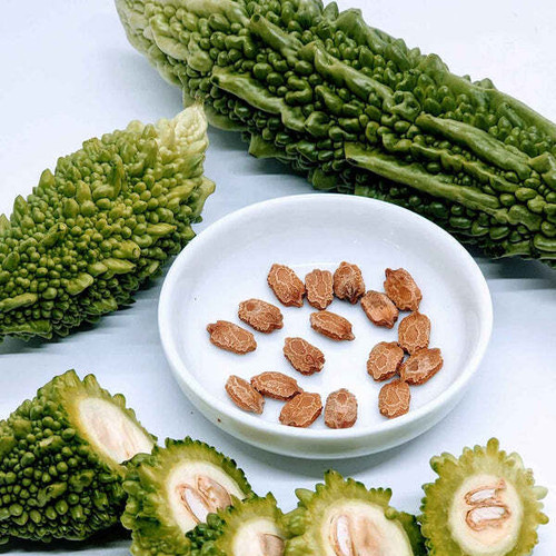 bitter gourd seeds sevengrains original imahyyh3m8ast9hd ol3f fp.jpg