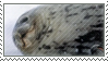 10 (1).png