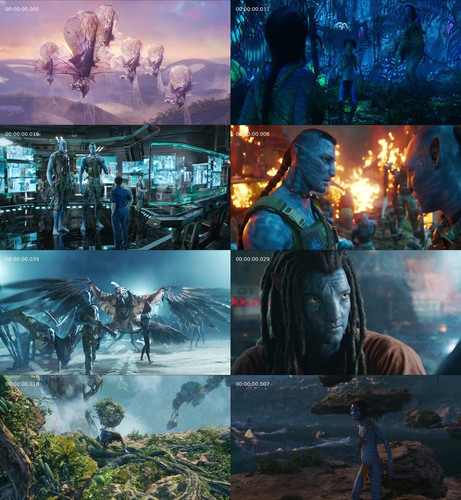 merged sheet.jpg