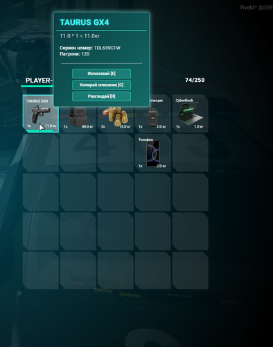 FiveM GTAProcess kAMgdh1Kqu.png