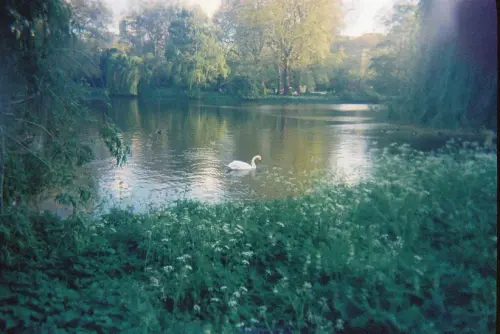 000064.webp