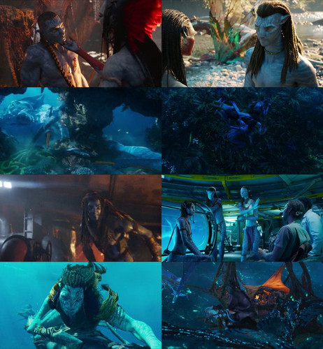 merged sheet.jpg