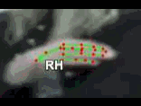 8ff294ec1d0e.gif