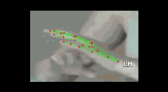 598890b49a8b.gif