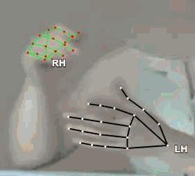 0c5215624da9.gif