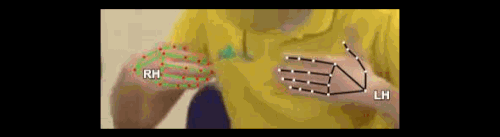 1d32347401d8.gif