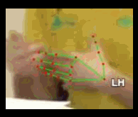 fe9c450ccba5.gif