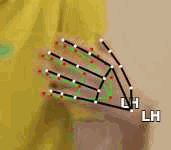 aff7b76dea68.gif