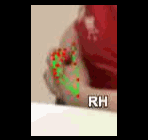 2e6c28638642.gif