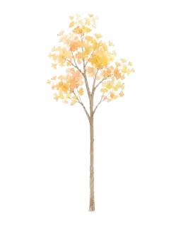 2416b13d8803.png
