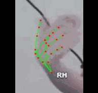 ab70aa10a428.gif