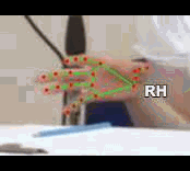 8f63bf7a4ce2.gif