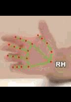 8edfacb86885.gif